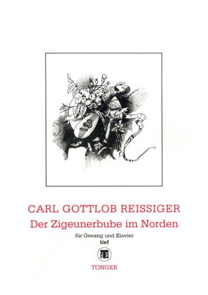 Der Zigeunerbube im Norden